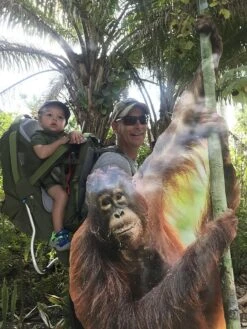 Kelty Journey PerfectFit Elite -Kelty Sales Store 6FE9AB1E 4466 45D6 9C60 4DAE3D566E72